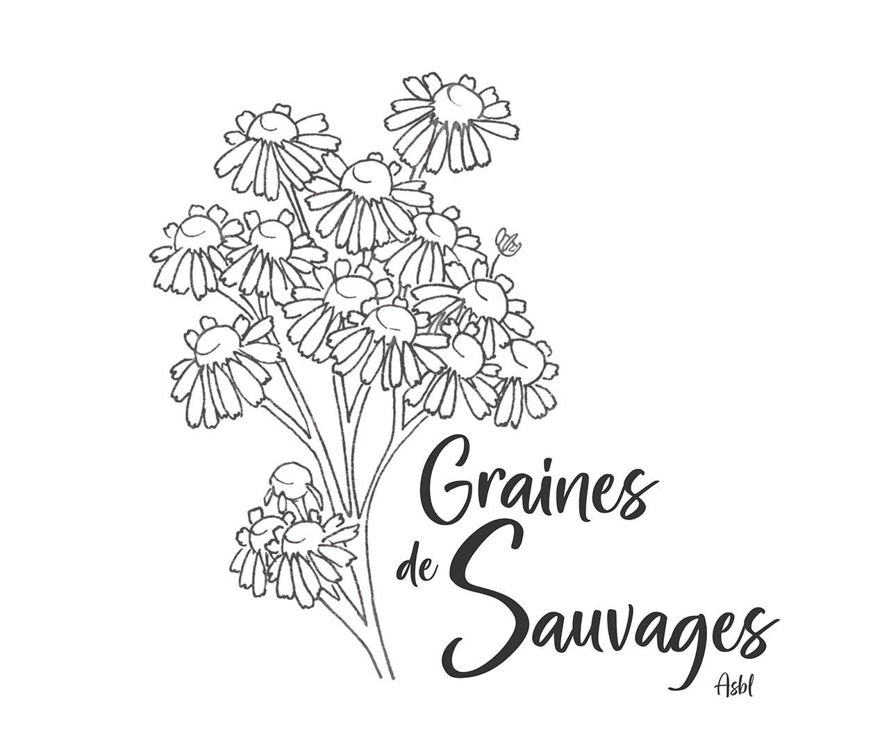 Graines de Sauvages