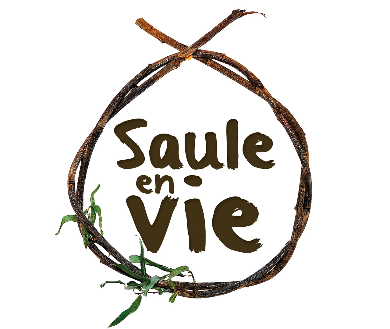 Saulenvie asbl